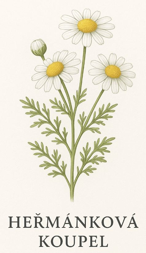 Heřmánková koupel