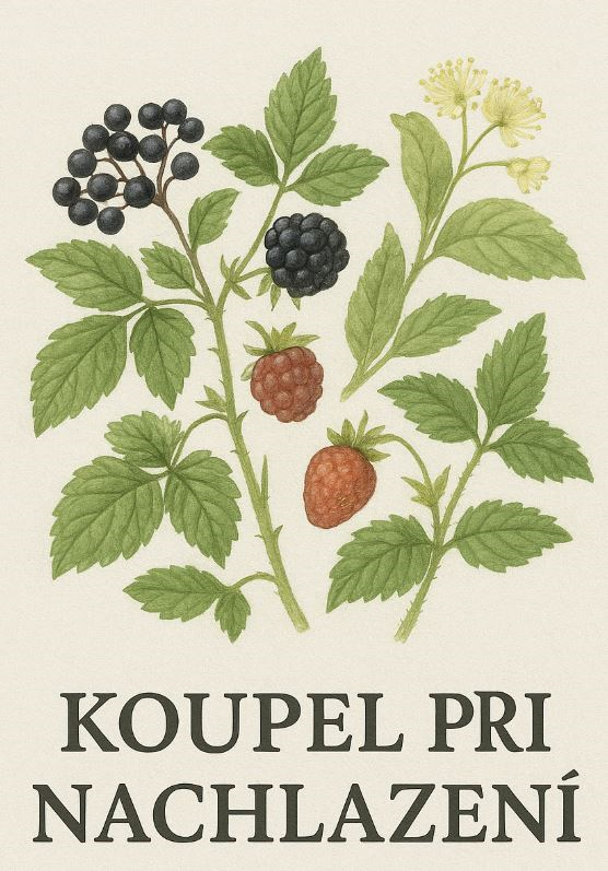 Koupel při nachlazení